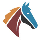 Divinus Equus